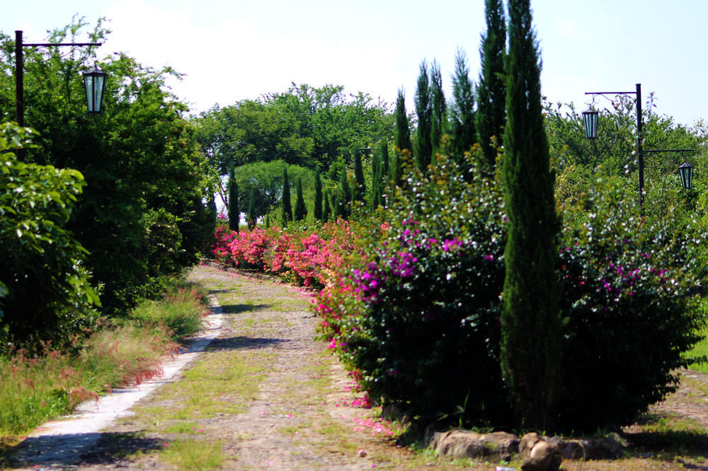 Teuchitlán Hacienda San Nicolas De Las Fuentes מראה חיצוני תמונה